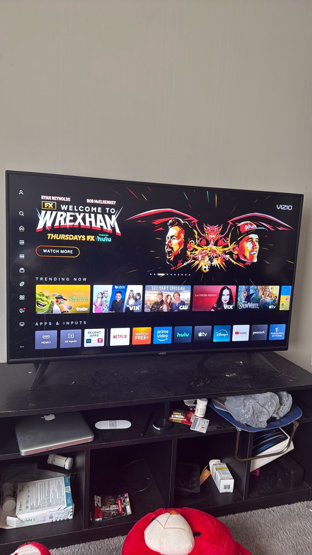 50 Inch Vizio