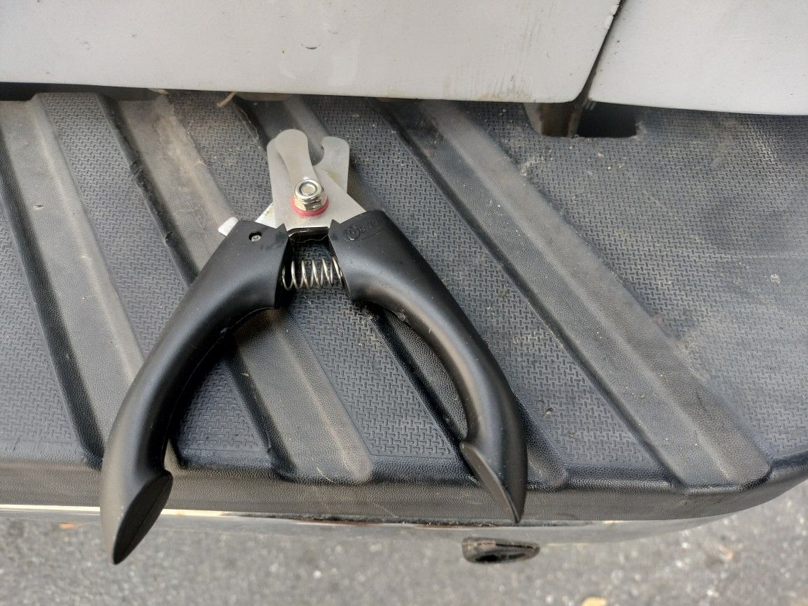 Dog's Nail Clippers