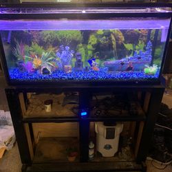 Light Up Fish Tank 
