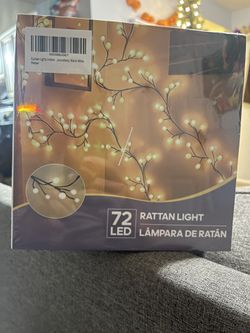 Curtain Lights Indoor Outdoor, 8.3ft 8 Modes 72 Led Globe String Lights Plug in, Window Lights 