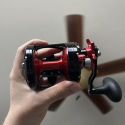 Avet Mxl Star Drag 