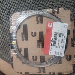 Gasket AFM DEVICE