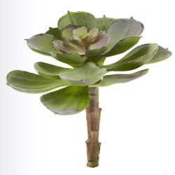 6” Artificial Echeveria Succulent (Set of 8)