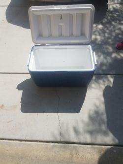 Coleman cooler