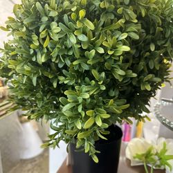 Artificial Topiary Ball Trees 