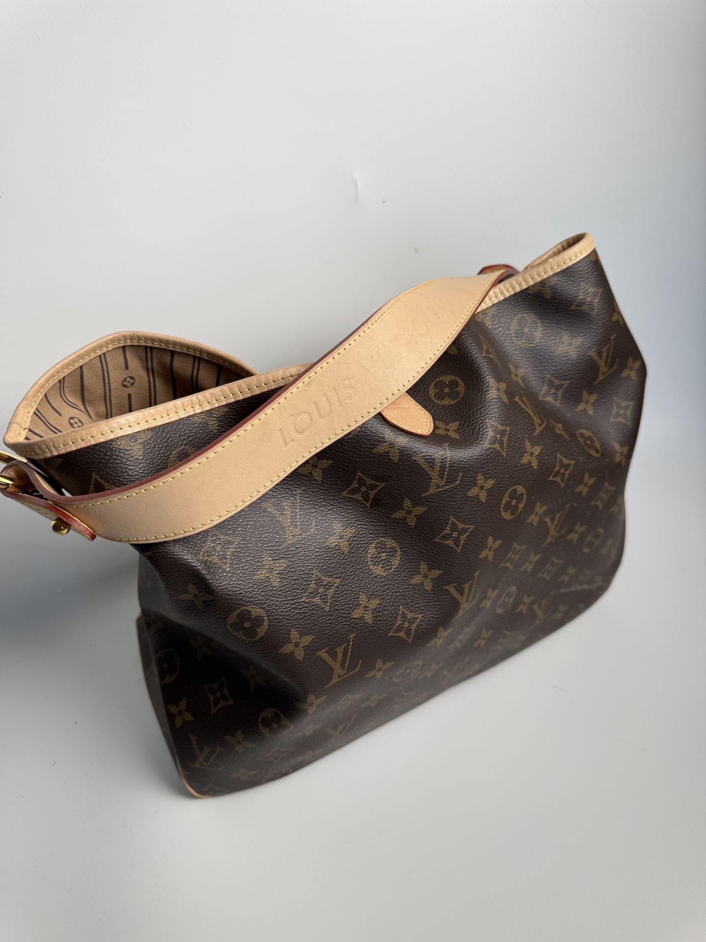 Louis Vuitton Totes Delightful Monogram Canvas PM Hobo Handbag