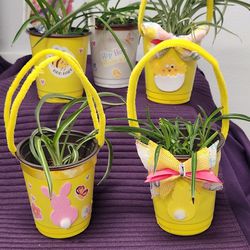 Plant Easter Baskets 