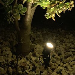 2 set landscape light.  firm price 