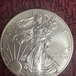 2014 Pure Silver Dollar