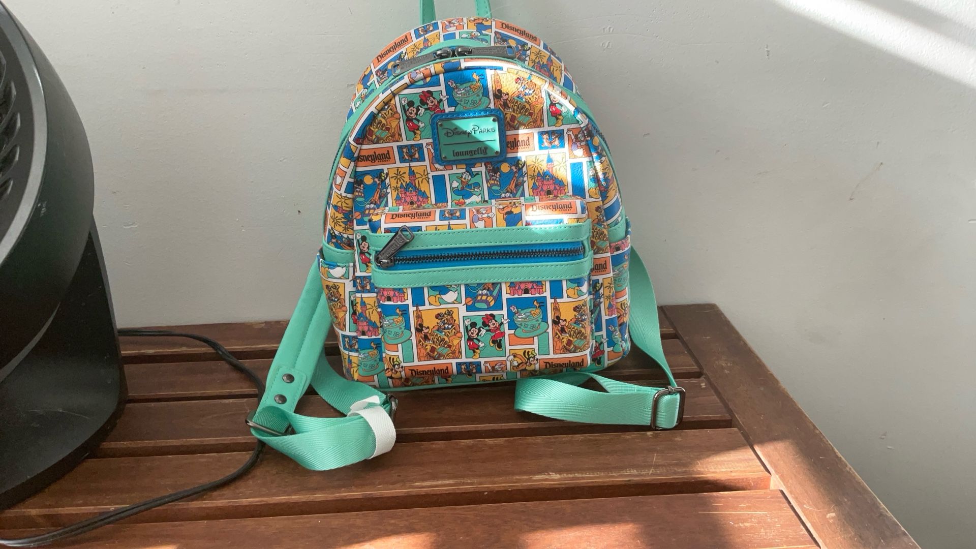Disney Lounge fly Bag