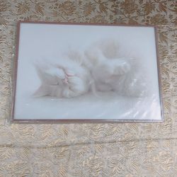 Sleeping cat..cat art
