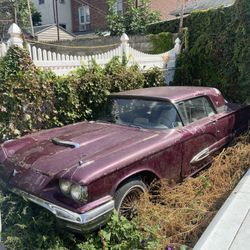 1956 Ford Thunderbird