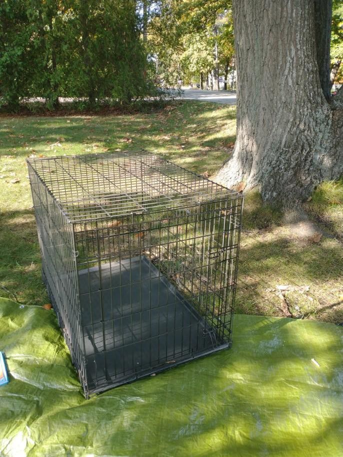 Dog crate (large/lab size)