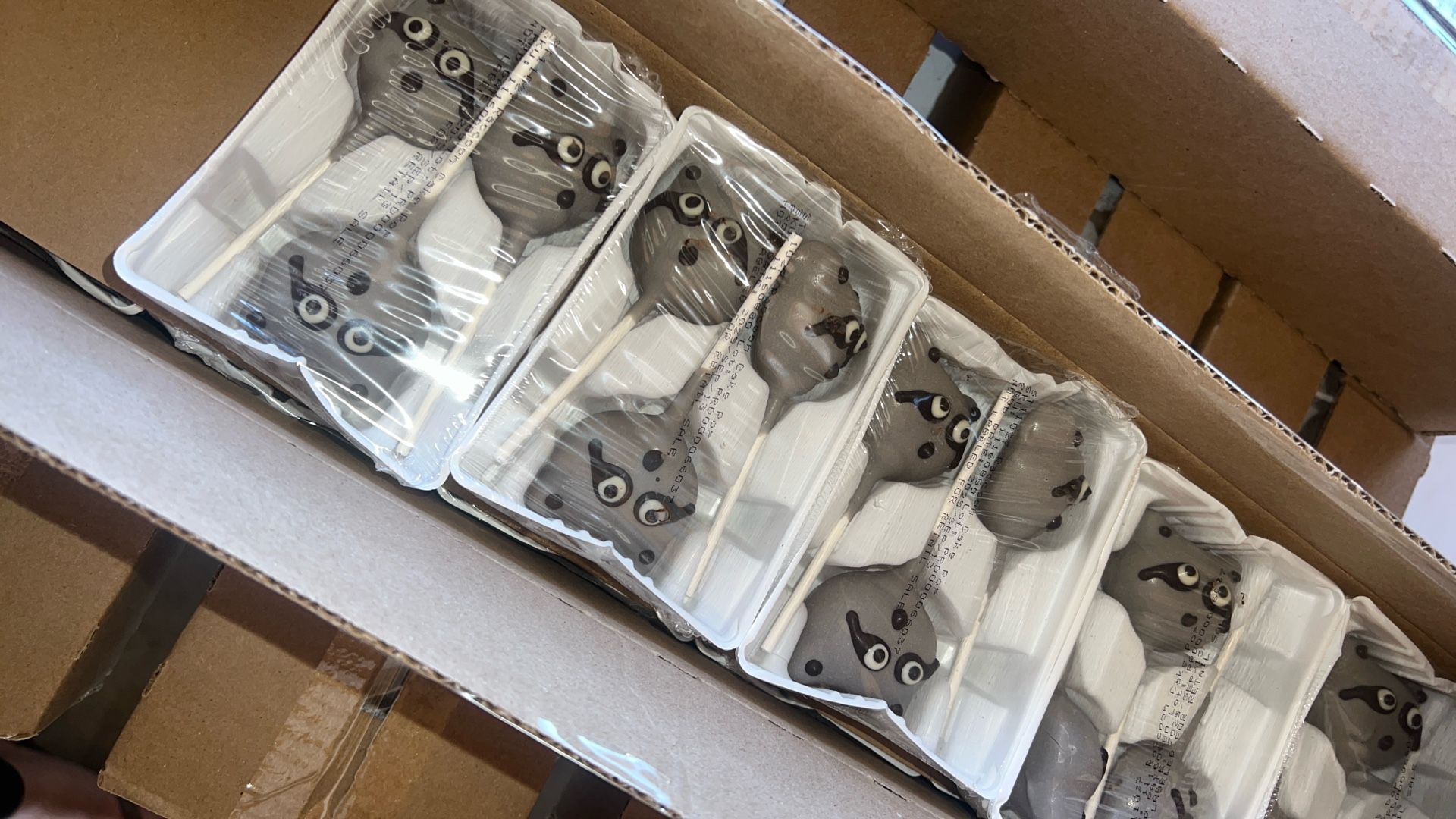 RACOON Cake Pops