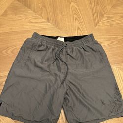 NIKE Gray Swim/Active Shorts