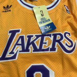 BAPE x Mitchell & Ness Lakers ABC Basketball Swingman Jersey for Sale in  Hartford, CT - OfferUp