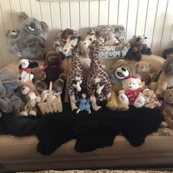 Stuffed Animals 