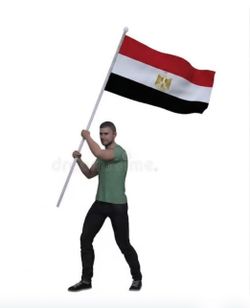 Egypt Flag  3 ft by 5 ft