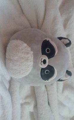 Raccoon Squishmellow