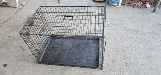Large dog crate