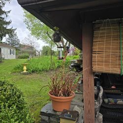 Miscellaneous Household, Tools, Garden, Rugs, Etc