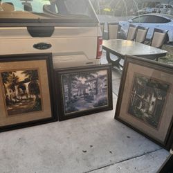 Framed Pictures