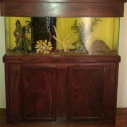 Complete Fish Tank