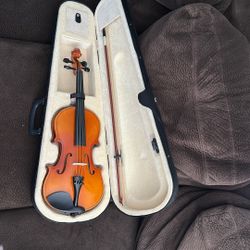 Violin
