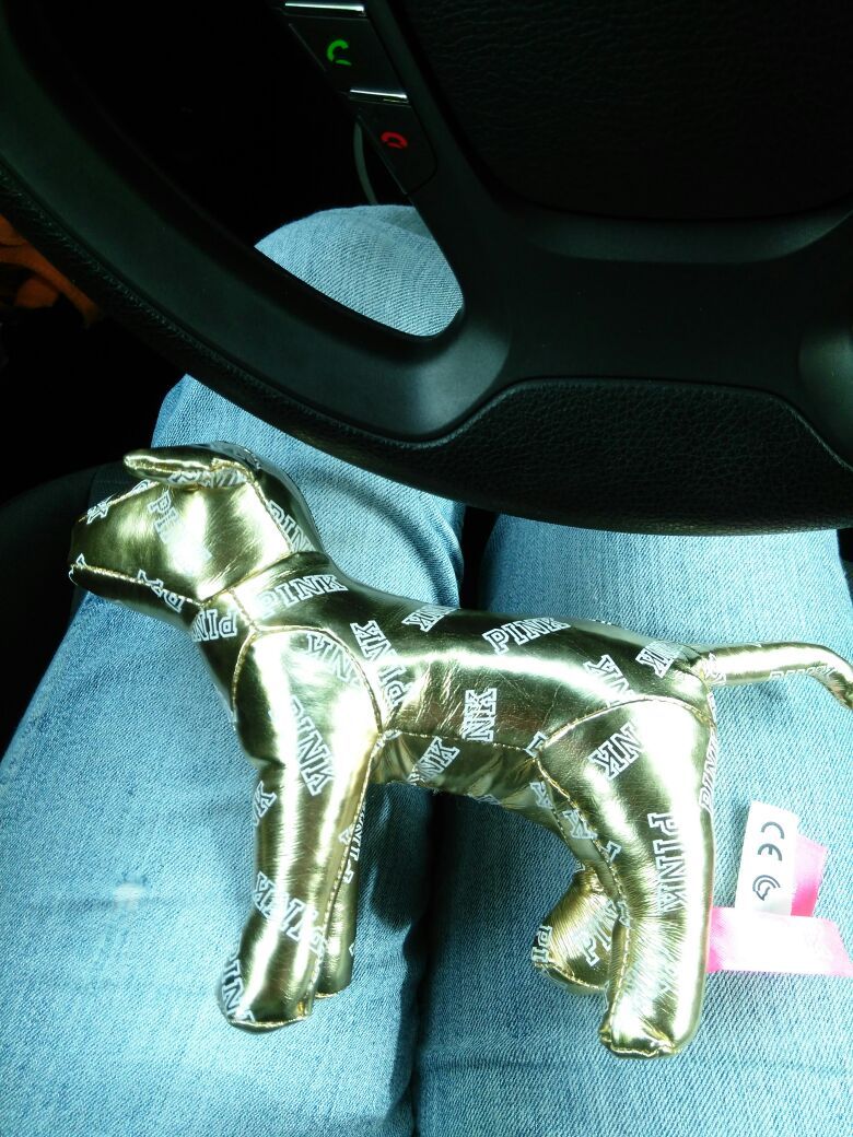 Gold VS dog.