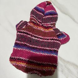 Poncho Dog Hoodie 