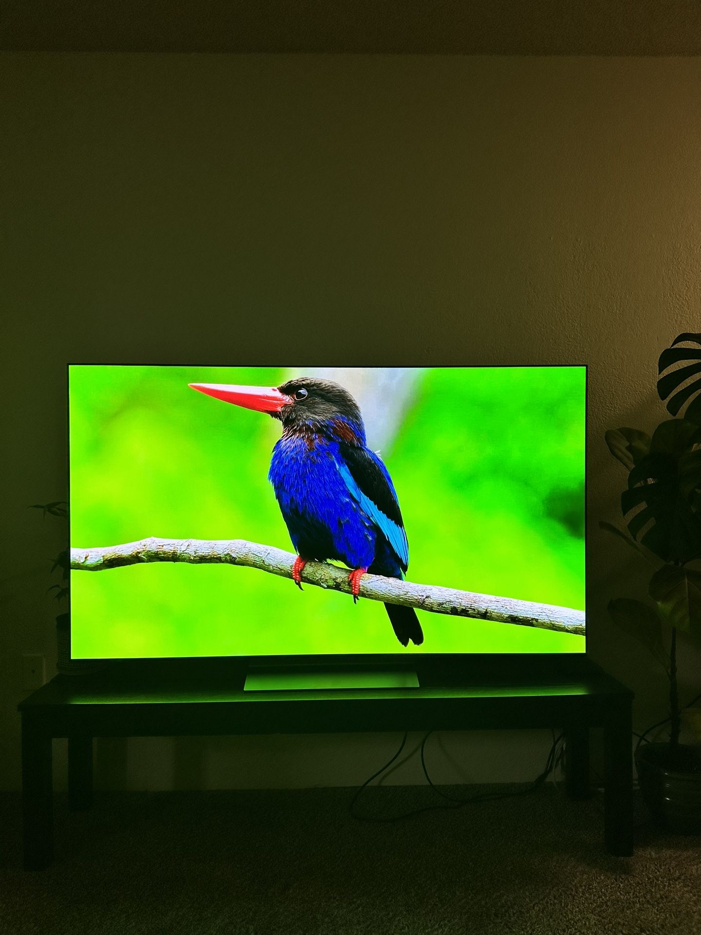 65” LG 4K OLED EVO