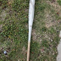 Easton Ghost Baseball Bat