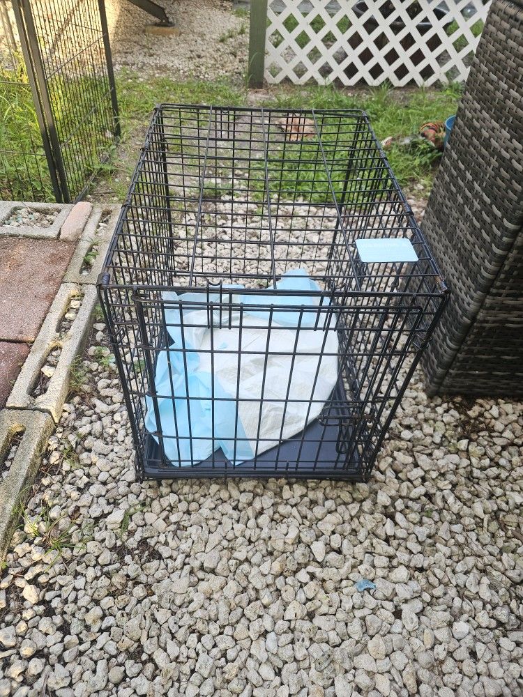 Small Breed Dog Cage