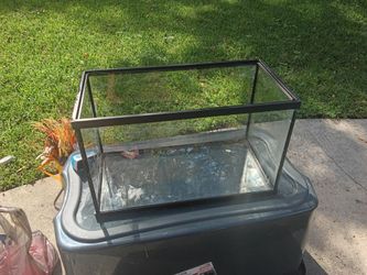Fish tank with rocks