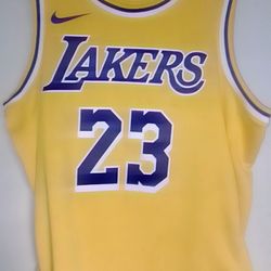 Dri-Fit Lebron James Jersey
