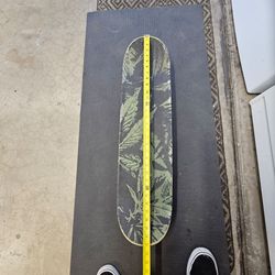 PHARMACY SKATE BOARD THUNDER TRUCKS