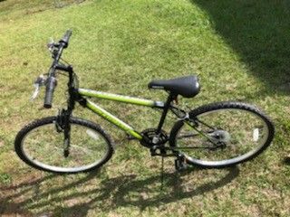 Adult Bicycle