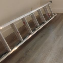 24 Ft Ladder 