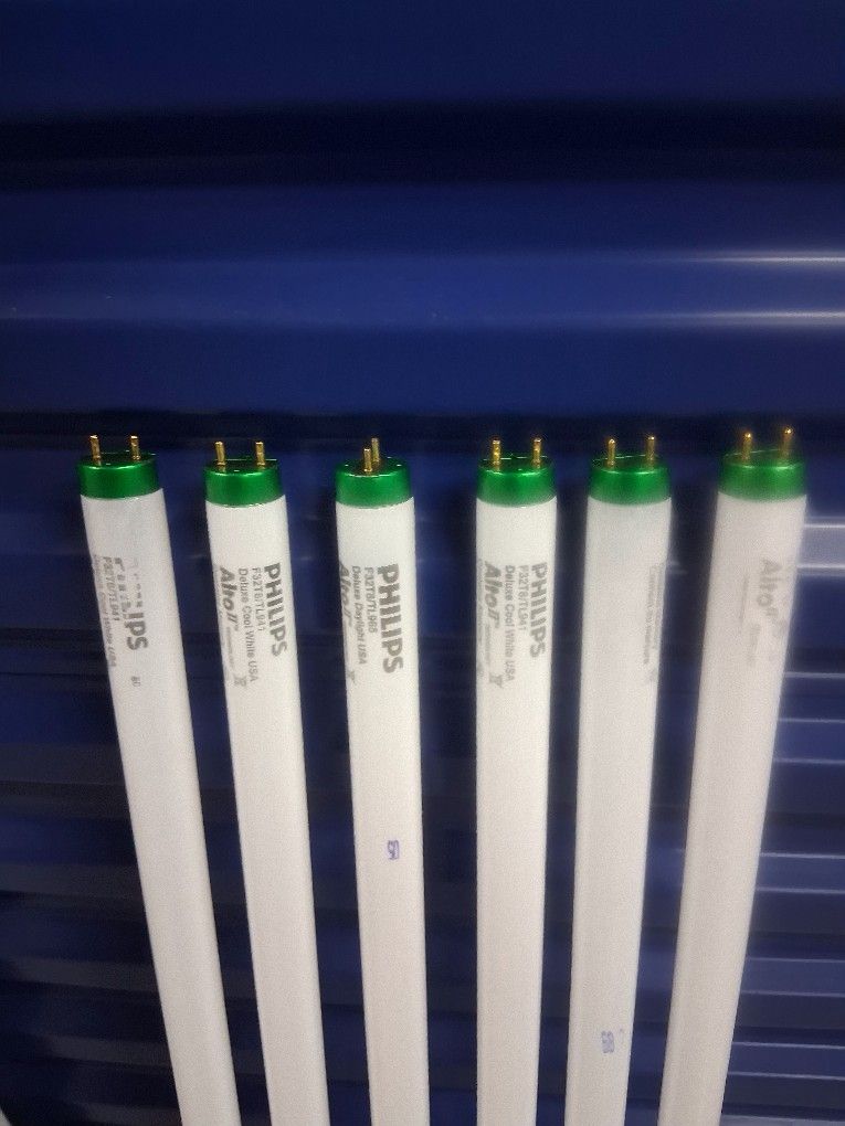 NEW, 2 PACKS OF TWO BULBS TOTALING 6 BUKBS AND 6 NEW SEPERATE BULBS TOTALING 12 BULBS. GREAT BUY CANT GO WRONG WITH THESE!!!
