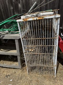 Large Bird/Parrot Cage