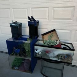 Fish Tanks And Other All Together 
