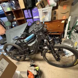 Santa Cruz 5010 Size Small