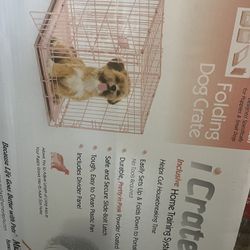 Folding Dog Crate