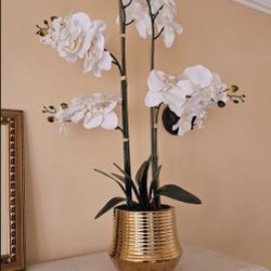 Artificial Plant With Gold Pot,, With Gold Pot, Used
