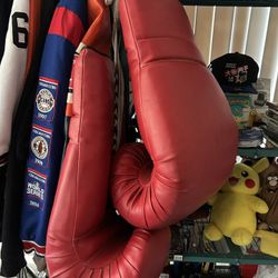 Huge Boxing Gloves 