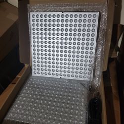 LED Hang Lights