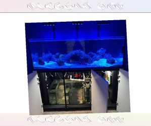 chair claim Large Aquarium Tank - Roomy & Beautiful