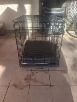 Foldable, portable metal dog kennal or crate