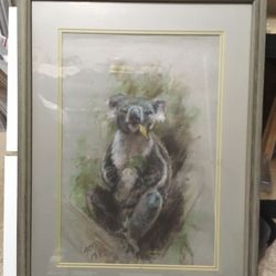 Framed print Koala Bear