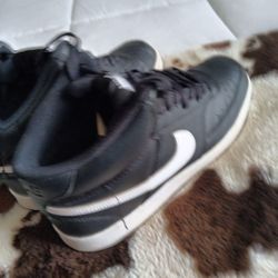 Sb Nike Shoes Size 9.5
